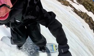 Tumbling Dog Doing Extreme Somersaults Overtakes Snowboarder