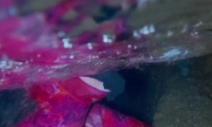Freediver Breathes With The Tides In Underwater Cave
