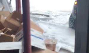 Boxer Dog Summons Restaurant Staff for Bacon
