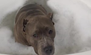 Bubble Bath Bandit