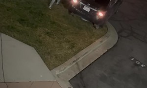 Altima Stuck on Curb