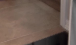 Old Pup Confused When Mom Isn't In Shower