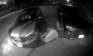 Raccoon Drags Trash Can Down Driveway