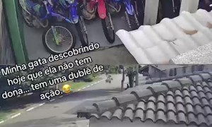 Woman Climbs on Roof to Retrieve Her Cat