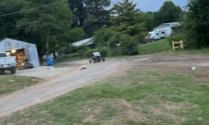 Go-Kart Full Send Forward Roll