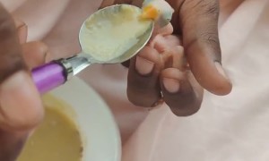 Rescued Parrot Chick's First Meal