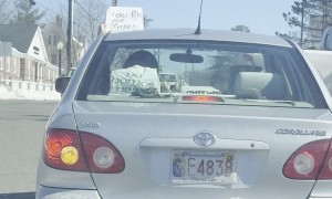 Driver Waves "Show Me Your Green Card" Sign Outside Vehicle
