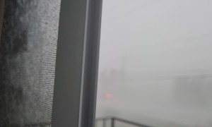 Powerful Winds Buffet London, Ontario Neighborhood During Severe Storm