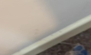 Sock Mop Baseboard Cleaning Trick