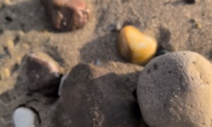 Splitting Open a 180-Million-Year-Old Jurassic Ammonite