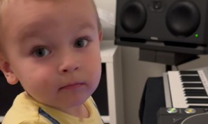 Miniature DJ Plays Melodic Sets