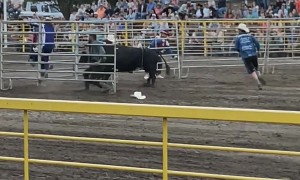 Cowboy Ends Up on Bull's Bad Side
