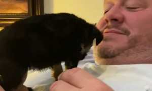 Puppy Pauses Playtime For Potty Break
