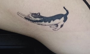 Big Stretch Kitty Tattoo