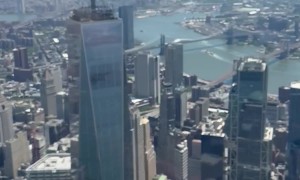Flying Rescue Puppies Over NYC