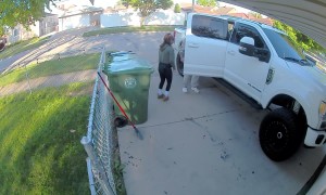 Jumping Malinois Can't Teleport Through Truck Door