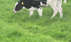 Two Factor Verification on the Farm