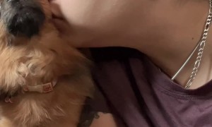 Why Are You Sniffing Me?