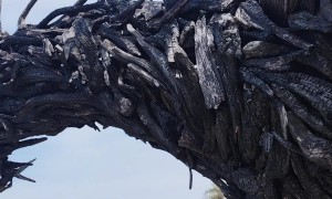 Driftwood Dragon Sculpture