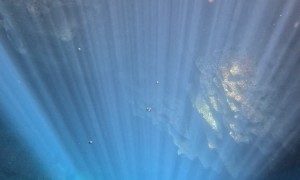 Freediver Swims Through Bubble Rings