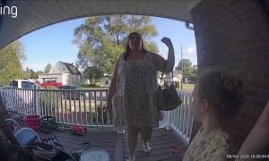 Woman Startled by Bee Takes a Big Tumble
