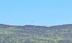 Firefighting Aircraft Filling Up