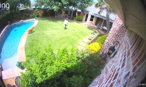 Dog Nudges Mom to Watch His Cannonball