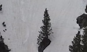 Spring Snowboarding With My Dog
