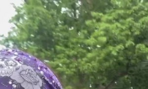 Dog Rides in Backpack With Googley Eye Goggles on Motorcycle