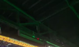 Dog Drinks From Cooler In Club