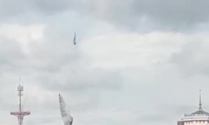 Collective Rescue of a Bird With a Wing Stuck on a Fishing Line