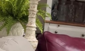 Exhausted Family Falls Asleep While Watching Toddler
