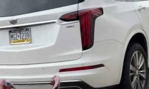 Turkeys Unphased By Neighbor Spraying Water