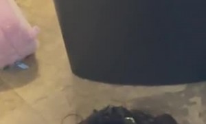 Black Cat Tolerates Girl's Love