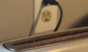 Parker Eating Peanut Butter Gets Toaster Surprise