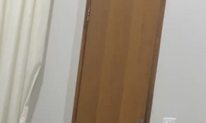 When One of Your Cats Has Bad Ideas and the Other Supports Them