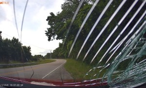 Tree Falls Right in Front of Moving Vehicle