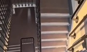 Hair Hanging Stunt in Stairwell