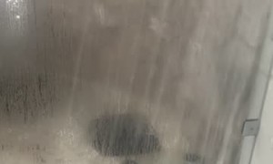 Some Dogs Feel the Rain, Others Just Get Wet