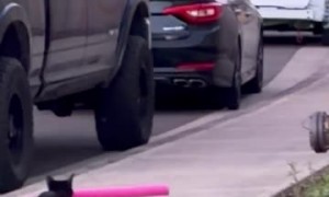 Pool Noodle Stolen by Neighbor Kitty