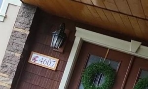 Grandparents Get the Best Birthday Surprise Ever