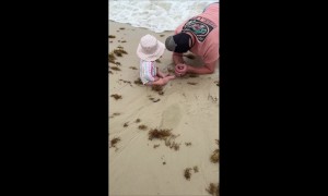 That's Enough Ocean for Today