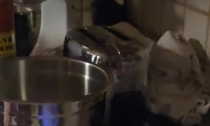 Flambe Disaster Sets Countertop on fire