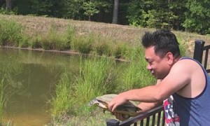Helping a Turtle Stuck on the Wrong Side of the Fence