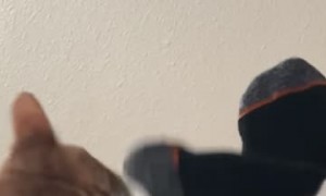 Orange Cat Versus Feet