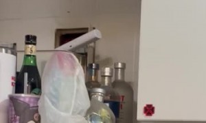 Iced up Refrigerator