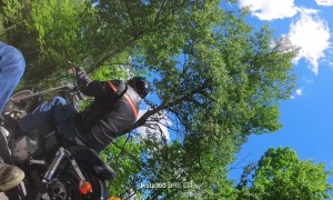Tree Falls Right in Front of Motorcycle Rider