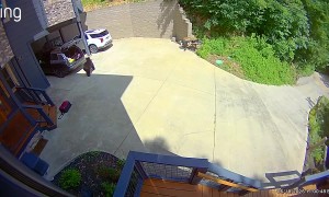 Family Finds Bear Cubs Inside SUV