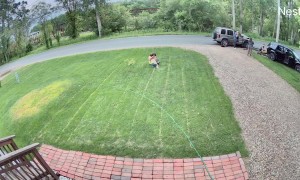 Terrifying Driveway Crash Caught on Camera