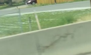 You Never Know Who You Might See Driving Down the Highway